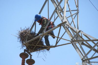 煙臺供電公司攀爬高空鐵塔檢修線路