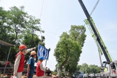 220kV斗九4k11線011號(hào)鐵塔絕緣子上有鳥窩