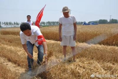 清河供電公司在田間給農(nóng)民開展用電宣傳