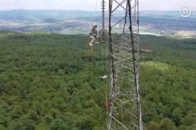 曲靖供電局帶電更換鐵塔整串絕緣子