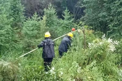 過泥濘，涉洪水，穿山谷，冒雨巡線護電，第一時間處理災情險情