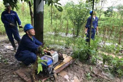 樂山電力搶修110千伏線路故障，迅速恢復(fù)供電