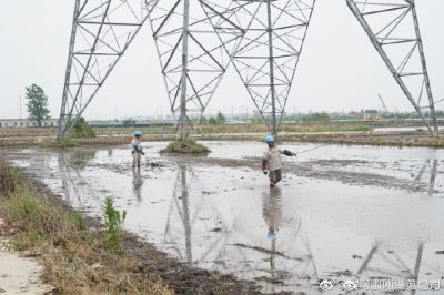 架設(shè)線路、安裝電纜引下線，解決農(nóng)民秸稈焚燒問題