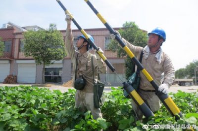 漣水縣供電公司在10千伏方渡121線三隊變緊固接地螺栓