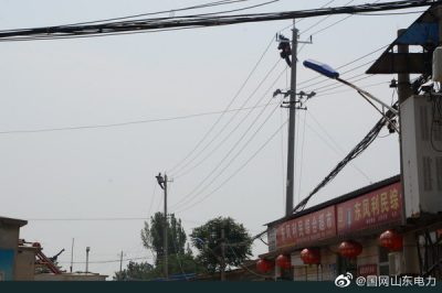 平陰縣供電公司組織對線路進(jìn)行絕緣化升級改造