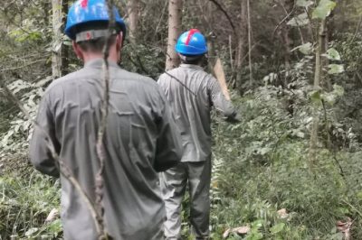 穿過無人區(qū)檢修110千伏線路君野線44號塔雷擊跳閘故障點