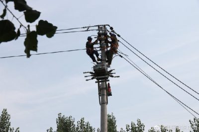 東阿縣供電公司新架設(shè)電桿5基、絕緣導(dǎo)線1000米