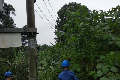 天府新區(qū)供電公司冒雨對(duì)線路通道進(jìn)行清理