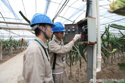 對火龍果種植基地內的用電設備進行安全隱患檢查