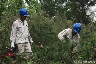 綦南供電公司對供電轄區(qū)10千伏壩扶線電力通道進行樹障砍伐清理