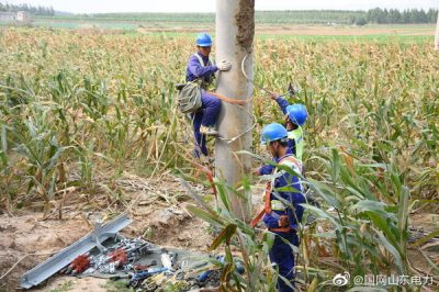 孝直鎮(zhèn)前洼村某牧業(yè)新建線路工程