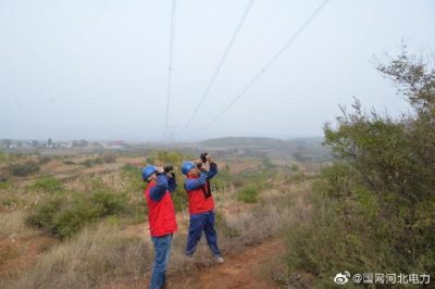 元氏縣供電公司巡視500千伏線路  清理樹障