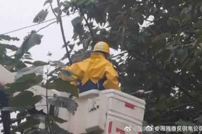 10千伏線路182馬寨線帶電作業(yè)清理線下障礙物6處