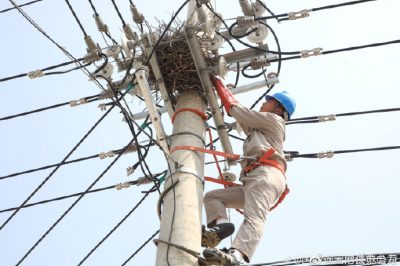 轉移10千伏線路電桿橫擔上鳥窩