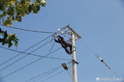 東阿縣供電公司對西張村線路進(jìn)行升級(jí)改造