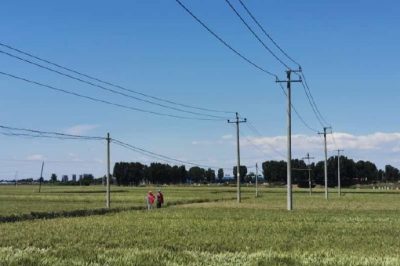 為正在夏收的農(nóng)民朋友開展電力設(shè)施保護宣傳