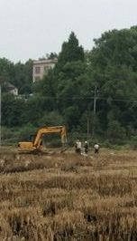 大路坪供電所農(nóng)改施工隊(duì)在新建蕉林村東洋灣臺區(qū)進(jìn)行立桿作業(yè)