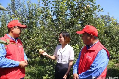 到新華村長嶺山莊，幫助客戶檢查用電設(shè)備