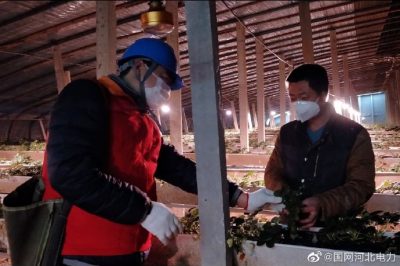 為果蔬大棚檢查供電線路、開關(guān)、照明燈具，以及水泵、卷簾機(jī)等設(shè)備